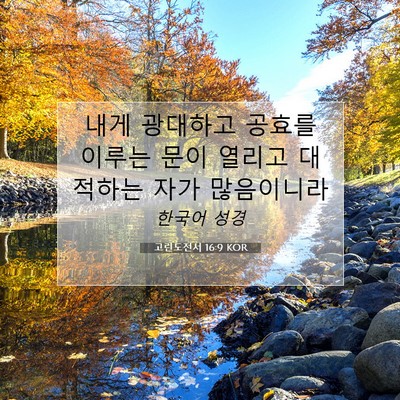 Picture 07 - 고린도전서 16:9 KOR - 내게 광대하고 공효를 이루는 문이 - Bible Verse Picture