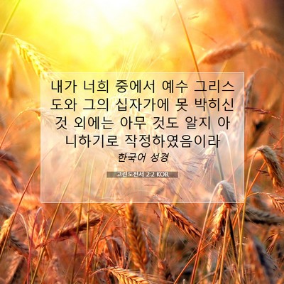 Picture 07 - 고린도전서 2:2 KOR - 내가 너희 중에서 예수 그리스도와 - Bible Verse Picture