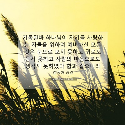 Picture 07 - 고린도전서 2:9 KOR - 기록된바 하나님이 자기를 사랑하는 - Bible Verse Picture