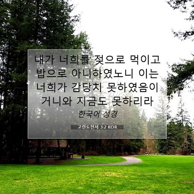 Picture 07 - 고린도전서 3:2 KOR - 내가 너희를 젖으로 먹이고 밥으로 - Bible Verse Picture
