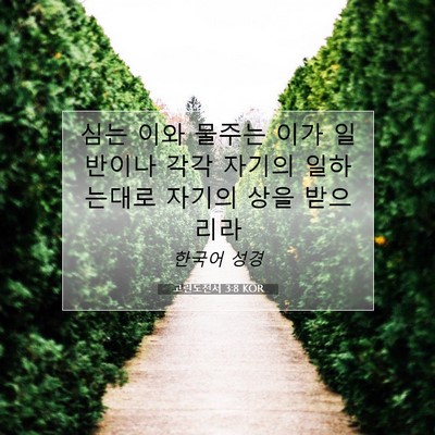 Picture 07 - 고린도전서 3:8 KOR - 심는 이와 물주는 이가 일반이나 - Bible Verse Picture