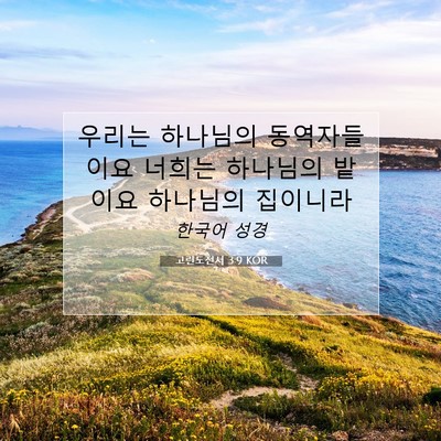 Picture 07 - 고린도전서 3:9 KOR - 우리는 하나님의 동역자들이요 - Bible Verse Picture