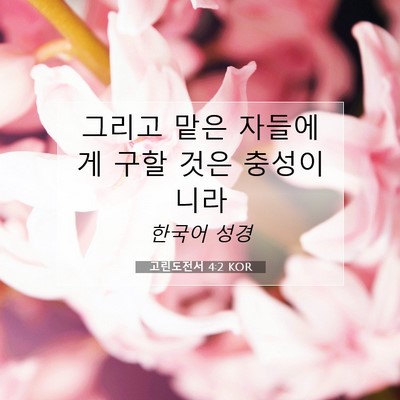 Picture 07 - 고린도전서 4:2 KOR - 그리고 맡은 자들에게 구할 것은 - Bible Verse Picture