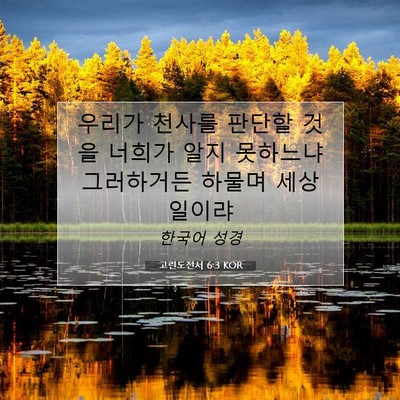 Picture 07 - 고린도전서 6:3 KOR - 우리가 천사를 판단할 것을 너희가 - Bible Verse Picture