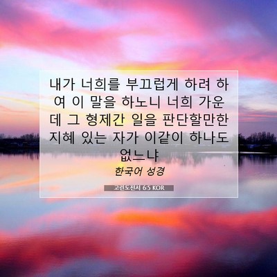 Picture 07 - 고린도전서 6:5 KOR - 내가 너희를 부끄럽게 하려 하여 이 - Bible Verse Picture