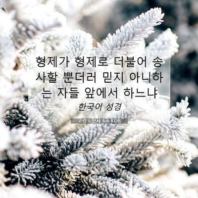 Picture 07 - 고린도전서 6:6 KOR - 형제가 형제로 더불어 송사할 뿐더러 - Bible Verse Picture