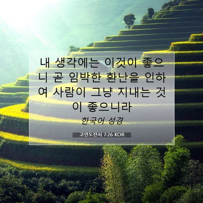 Picture 07 - 고린도전서 7:26 KOR - 내 생각에는 이것이 좋으니 곧 - Bible Verse Picture