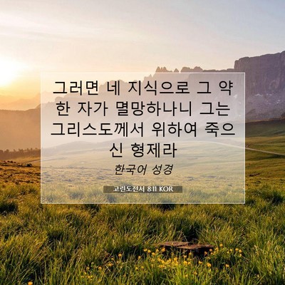 Picture 07 - 고린도전서 8:11 KOR - 그러면 네 지식으로 그 약한 자가 - Bible Verse Picture
