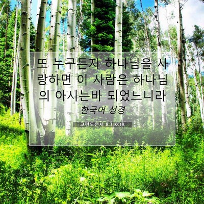 Picture 07 - 고린도전서 8:3 KOR - 또 누구든지 하나님을 사랑하면 이 - Bible Verse Picture