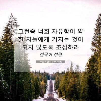 Picture 07 - 고린도전서 8:9 KOR - 그런즉 너희 자유함이 약한 자들에게 - Bible Verse Picture