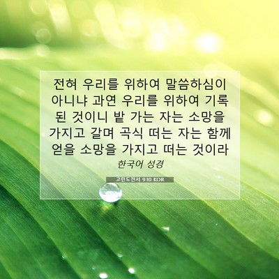 Picture 07 - 고린도전서 9:10 KOR - 전혀 우리를 위하여 말씀하심이 - Bible Verse Picture