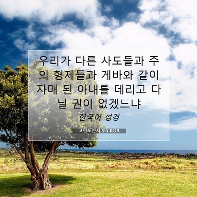 Picture 07 - 고린도전서 9:5 KOR - 우리가 다른 사도들과 주의 형제들과 - Bible Verse Picture
