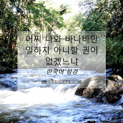 Picture 07 - 고린도전서 9:6 KOR - 어찌 나와 바나바만 일하지 아니할 - Bible Verse Picture