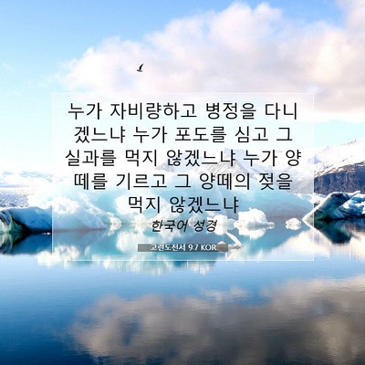 Picture 07 - 고린도전서 9:7 KOR - 누가 자비량하고 병정을 다니겠느냐 - Bible Verse Picture