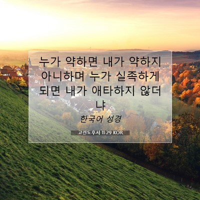 Picture 07 - 고린도후서 11:29 KOR - 누가 약하면 내가 약하지 아니하며 - Bible Verse Picture