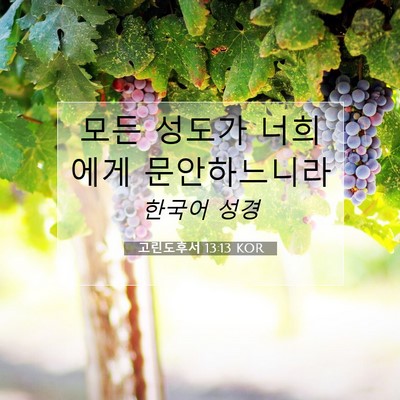 Picture 07 - 고린도후서 13:13 KOR - 모든 성도가 너희에게 - Bible Verse Picture