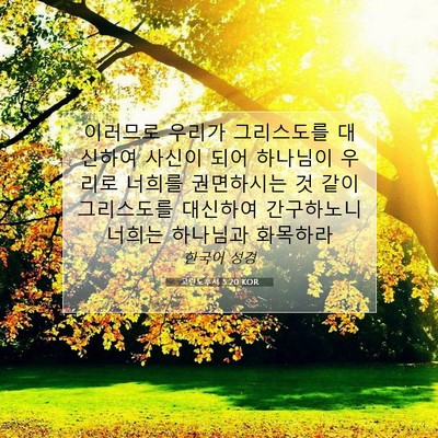 Picture 07 - 고린도후서 5:20 KOR - 이러므로 우리가 그리스도를 - Bible Verse Picture