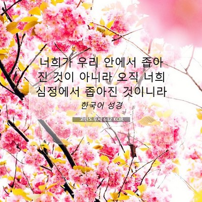 Picture 07 - 고린도후서 6:12 KOR - 너희가 우리 안에서 좁아진 것이 - Bible Verse Picture