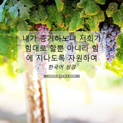 Picture 07 - 고린도후서 8:3 KOR - 내가 증거하노니 저희가 힘대로 할뿐 - Bible Verse Picture
