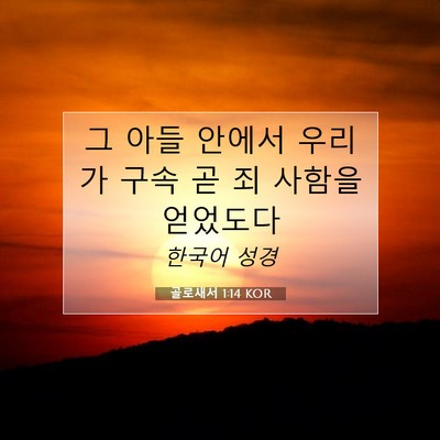 Picture 07 - 골로새서 1:14 KOR - 그 아들 안에서 우리가 구속 곧 죄 - Bible Verse Picture