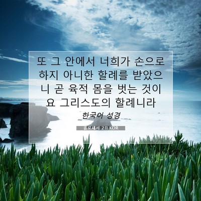 Picture 07 - 골로새서 2:11 KOR - 또 그 안에서 너희가 손으로 하지 - Bible Verse Picture