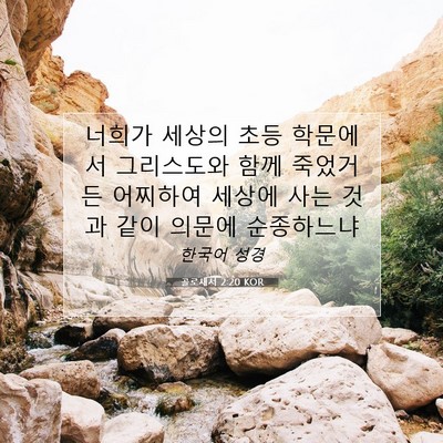 Picture 07 - 골로새서 2:20 KOR - 너희가 세상의 초등 학문에서 - Bible Verse Picture