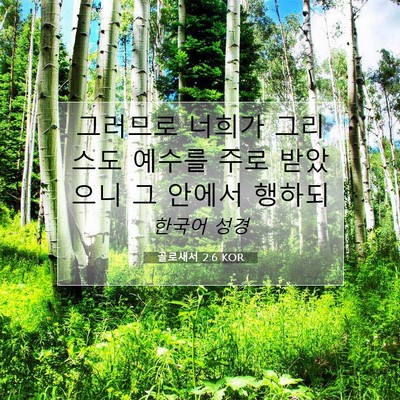 Picture 07 - 골로새서 2:6 KOR - 그러므로 너희가 그리스도 예수를 - Bible Verse Picture