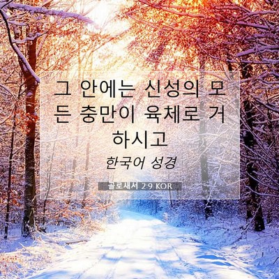Picture 07 - 골로새서 2:9 KOR - 그 안에는 신성의 모든 충만이 - Bible Verse Picture