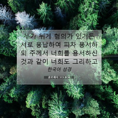 Picture 07 - 골로새서 3:13 KOR - 누가 뉘게 혐의가 있거든 서로 - Bible Verse Picture