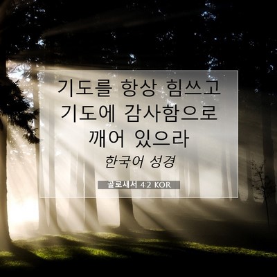 Picture 07 - 골로새서 4:2 KOR - 기도를 항상 힘쓰고 기도에 - Bible Verse Picture