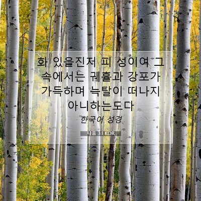 Picture 07 - 나훔 3:1 KOR - 화 있을진저 피 성이여 그 속에서는 - Bible Verse Picture