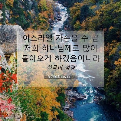 Picture 07 - 누가복음 1:16 KOR - 이스라엘 자손을 주 곧 저희 - Bible Verse Picture