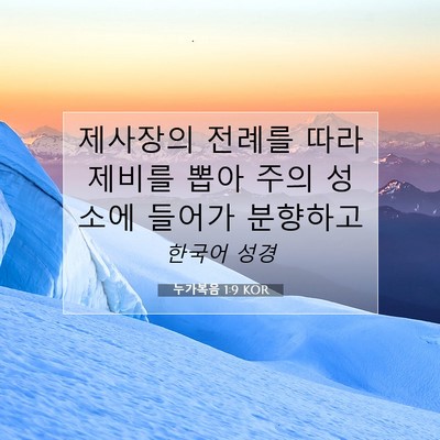 Picture 07 - 누가복음 1:9 KOR - 제사장의 전례를 따라 제비를 뽑아 - Bible Verse Picture