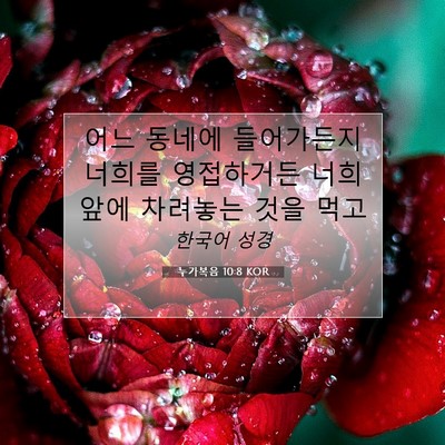 Picture 07 - 누가복음 10:8 KOR - 어느 동네에 들어가든지 너희를 - Bible Verse Picture