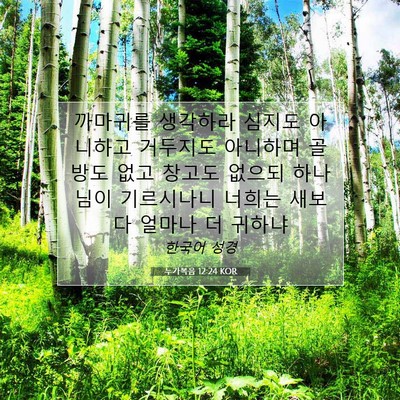 Picture 07 - 누가복음 12:24 KOR - 까마귀를 생각하라 심지도 아니하고 - Bible Verse Picture