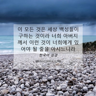 Picture 07 - 누가복음 12:30 KOR - 이 모든 것은 세상 백성들이 구하는 - Bible Verse Picture