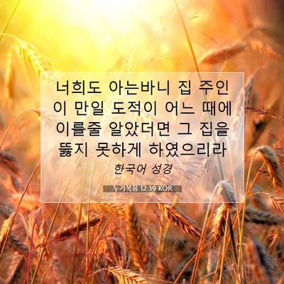 Picture 07 - 누가복음 12:39 KOR - 너희도 아는바니 집 주인이 만일 - Bible Verse Picture