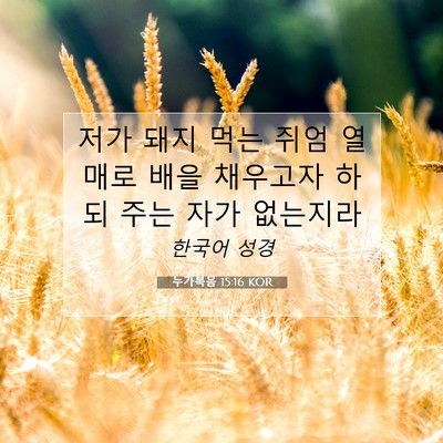 Picture 07 - 누가복음 15:16 KOR - 저가 돼지 먹는 쥐엄 열매로 배을 - Bible Verse Picture