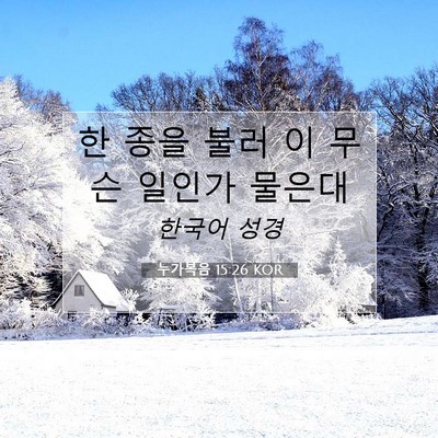 Picture 07 - 누가복음 15:26 KOR - 한 종을 불러 이 무슨 일인가 - Bible Verse Picture