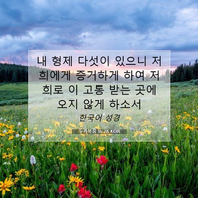 Picture 07 - 누가복음 16:28 KOR - 내 형제 다섯이 있으니 저희에게 - Bible Verse Picture