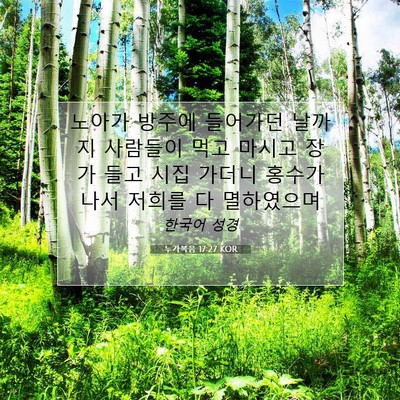 Picture 07 - 누가복음 17:27 KOR - 노아가 방주에 들어가던 날까지 - Bible Verse Picture