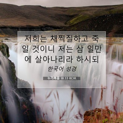 Picture 07 - 누가복음 18:33 KOR - 저희는 채찍질하고 죽일 것이니 저는 - Bible Verse Picture