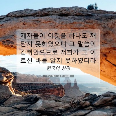 Picture 07 - 누가복음 18:34 KOR - 제자들이 이것을 하나도 깨닫지 - Bible Verse Picture