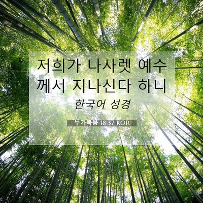 Picture 07 - 누가복음 18:37 KOR - 저희가 나사렛 예수께서 지나신다 - Bible Verse Picture