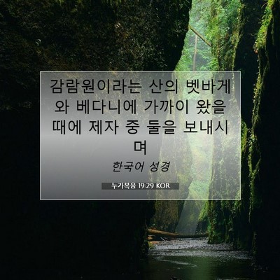 Picture 07 - 누가복음 19:29 KOR - 감람원이라는 산의 벳바게와 - Bible Verse Picture