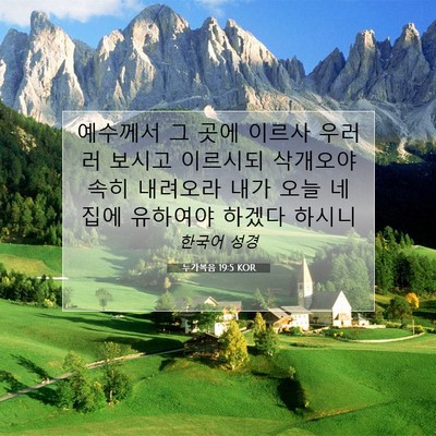 Picture 07 - 누가복음 19:5 KOR - 예수께서 그 곳에 이르사 우러러 - Bible Verse Picture