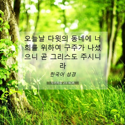 Picture 07 - 누가복음 2:11 KOR - 오늘날 다윗의 동네에 너희를 위하여 - Bible Verse Picture