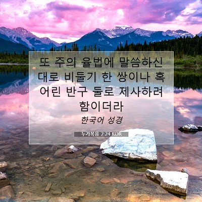 Picture 07 - 누가복음 2:24 KOR - 또 주의 율법에 말씀하신대로 비둘기 - Bible Verse Picture