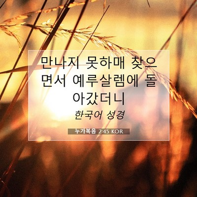 Picture 07 - 누가복음 2:45 KOR - 만나지 못하매 찾으면서 예루살렘에 - Bible Verse Picture