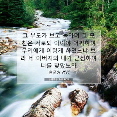 Picture 07 - 누가복음 2:48 KOR - 그 부모가 보고 놀라며 그 모친은 - Bible Verse Picture